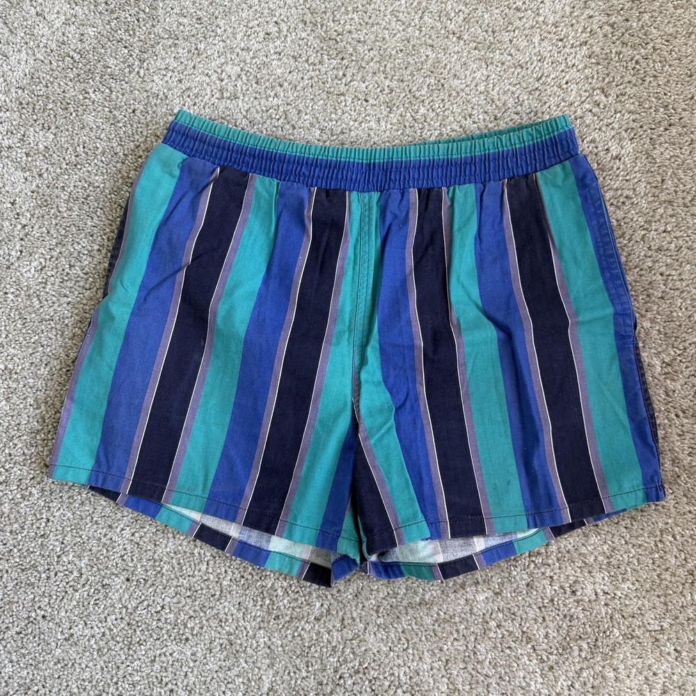 Vintage Pacific Scene Swim Shorts Men Small Multicolor Striped Mesh Lined Trunks